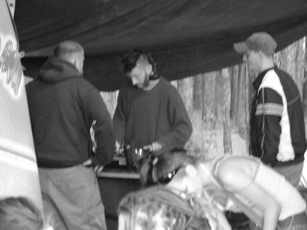 ADP System - Zelezniza 2009 (2)