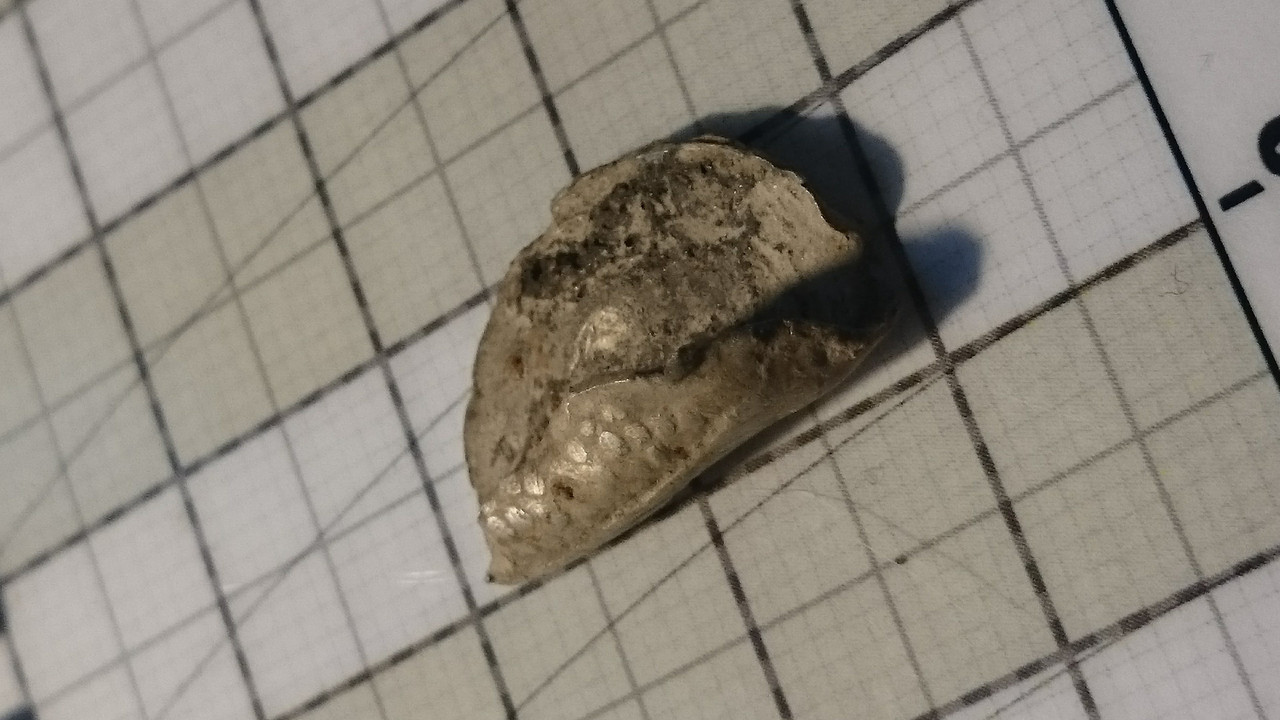 tmp_5945-DSC_0285-1105855113