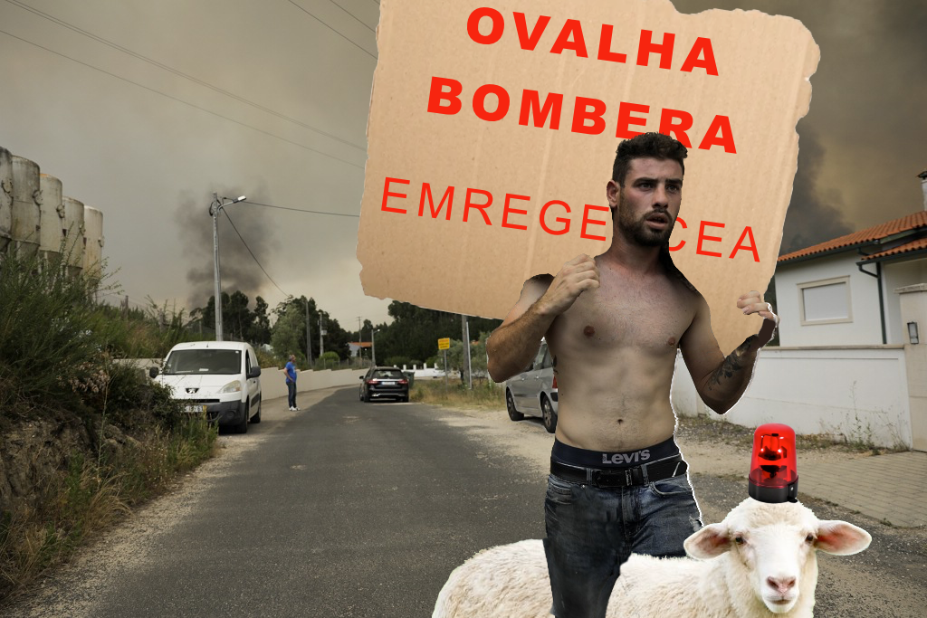 Pic CHAD LUSO - ovalha