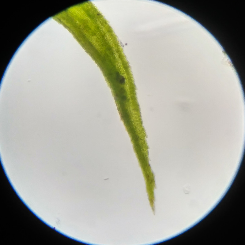 IMG 20250617 123759 HDR