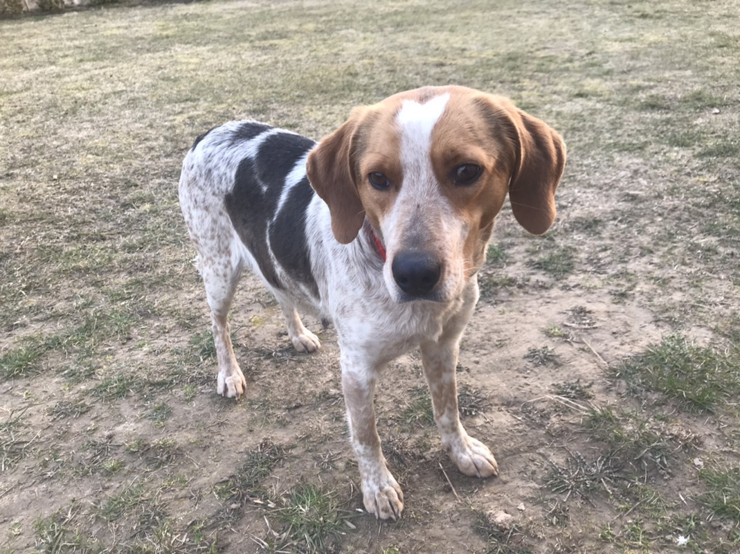 60799FB2-3DFE-4B8E-B19C-55C92B5C6CEA