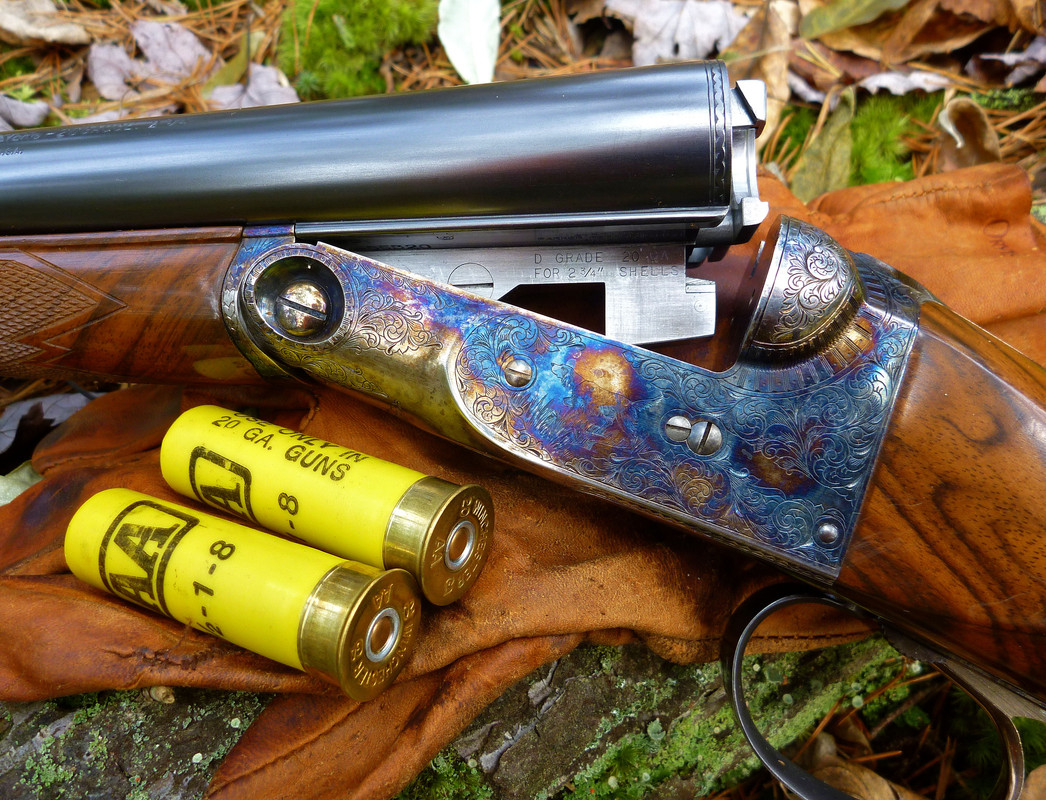 2013-11-09 6b Ruffed Grouse  - DHE 20