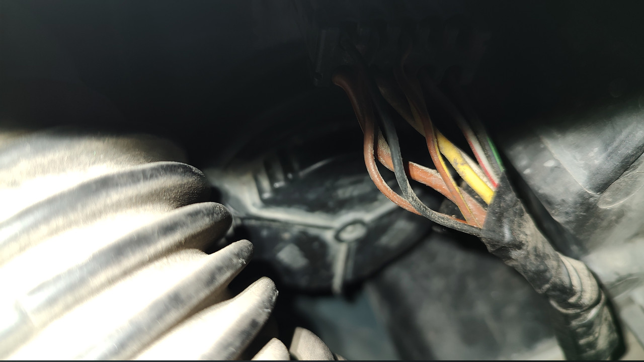 trashed 1765034387 IMG 20251106 161939709