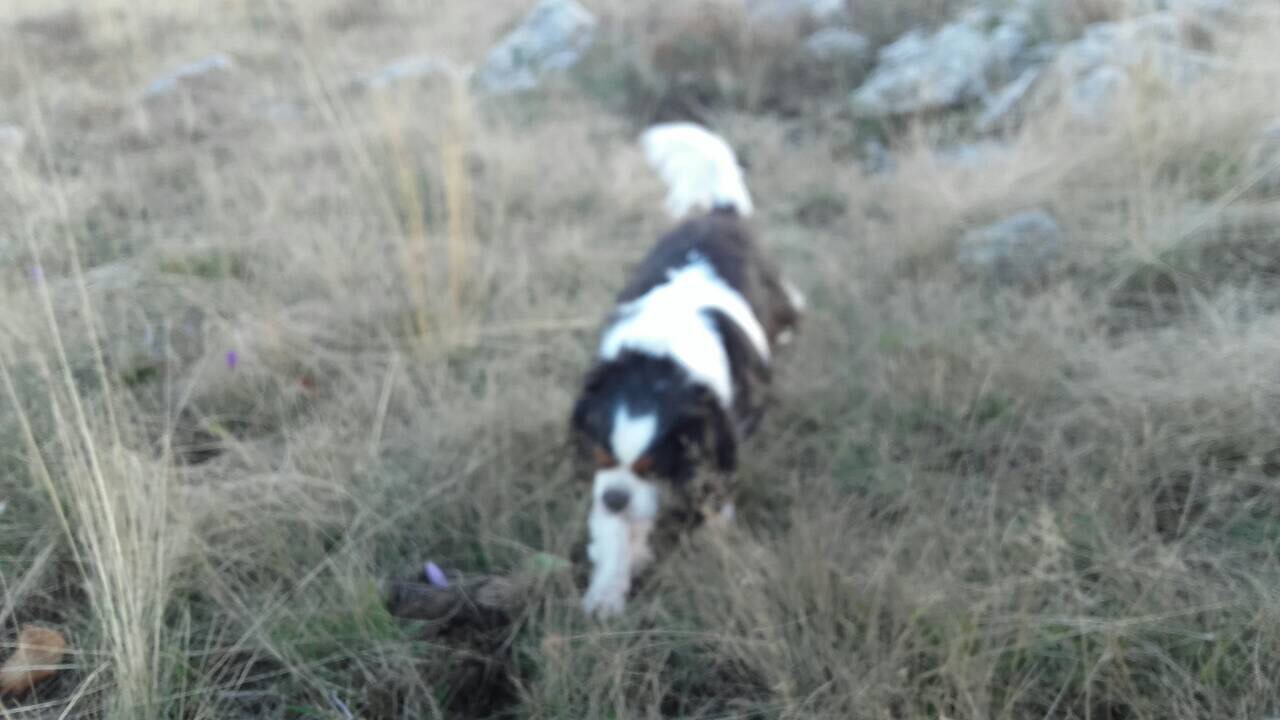 00D513B2-BFF2-48E0-B41B-0C6926C479DE