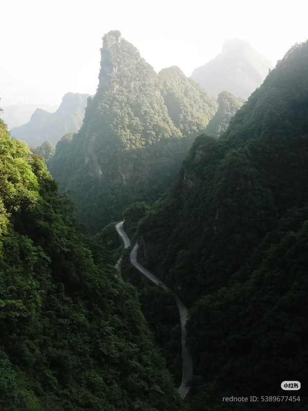 photo 3 2025 12 14 22 12 47