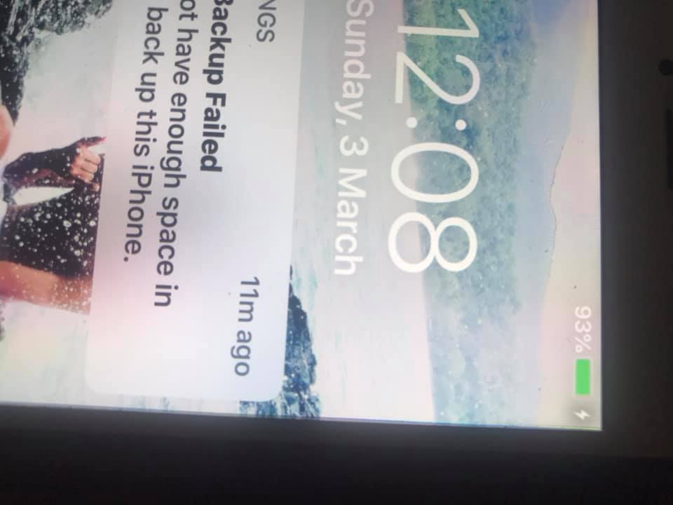 53347690_2290919387619931_8820253557572763648_n