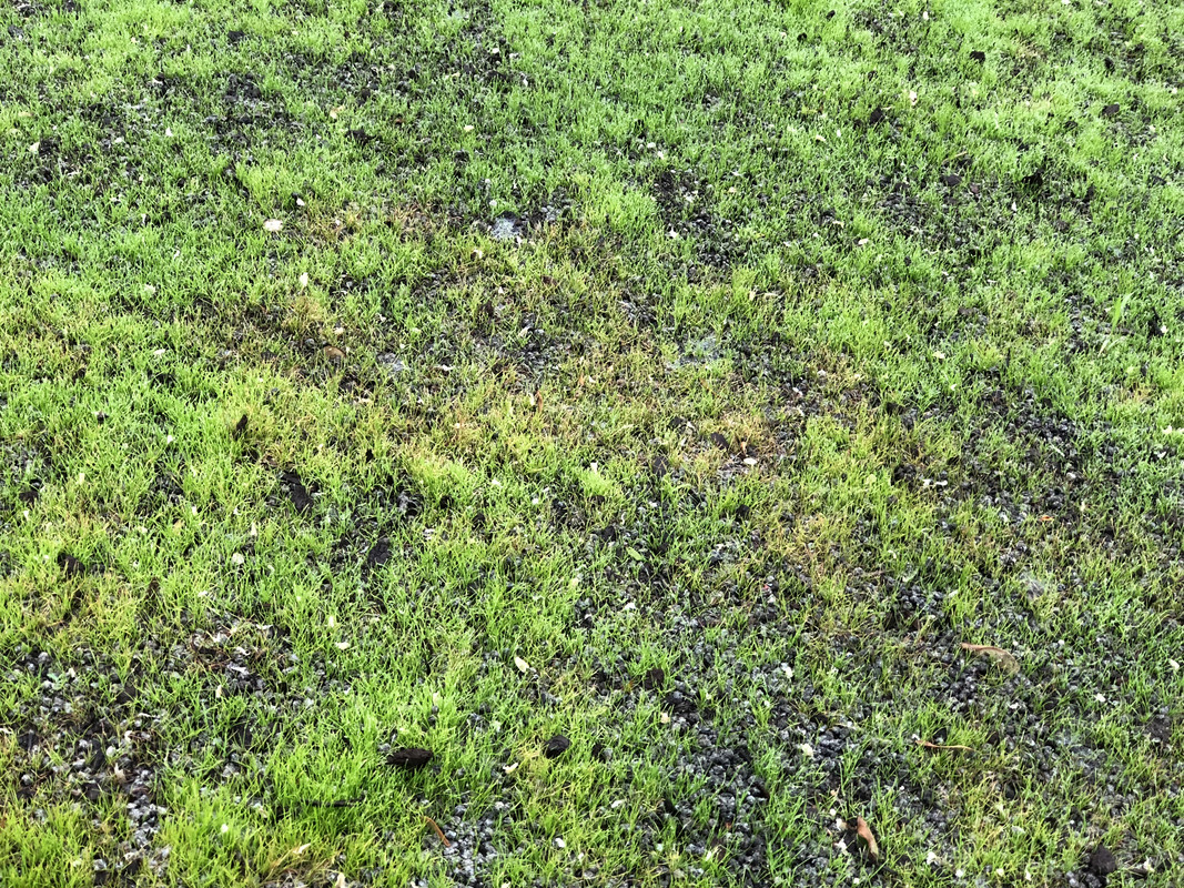 84D284FF-C834-4EEF-8919-6B8988B8D2A3