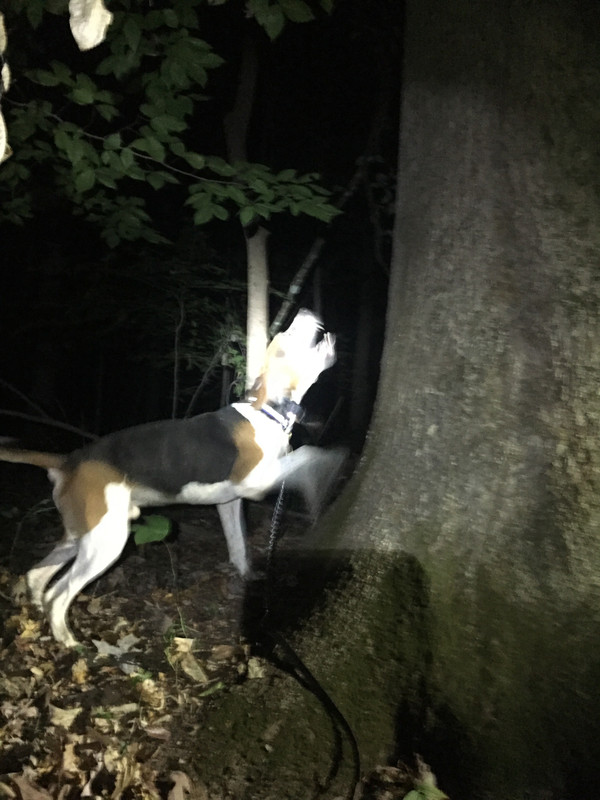 34355773-64AA-4746-A7DC-EF61591E0CE6