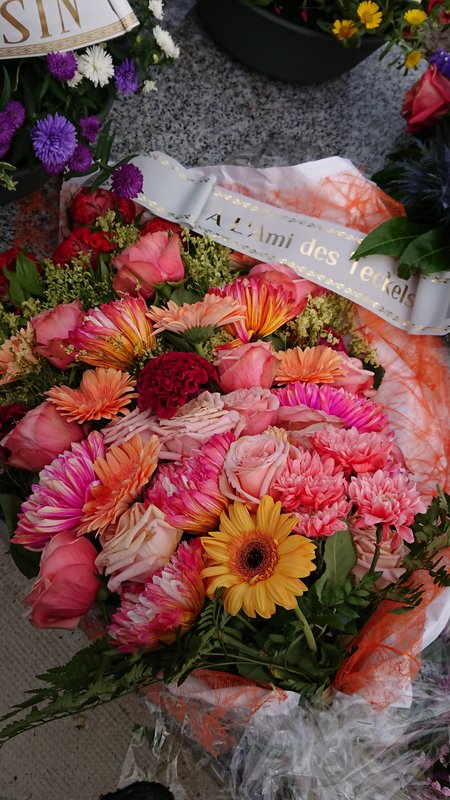 [Image: DSC-2849.jpg]