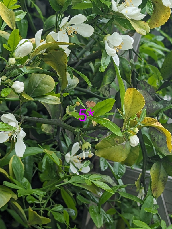 PXL_20240506_171636635~2