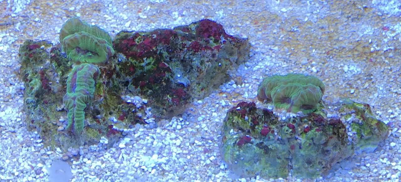 5D59F8A9-E899-4568-8AD3-AF23D8B75ADD