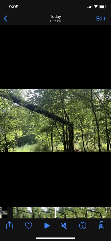 8EAFB695-0B67-48EF-BA65-5B31D627F969