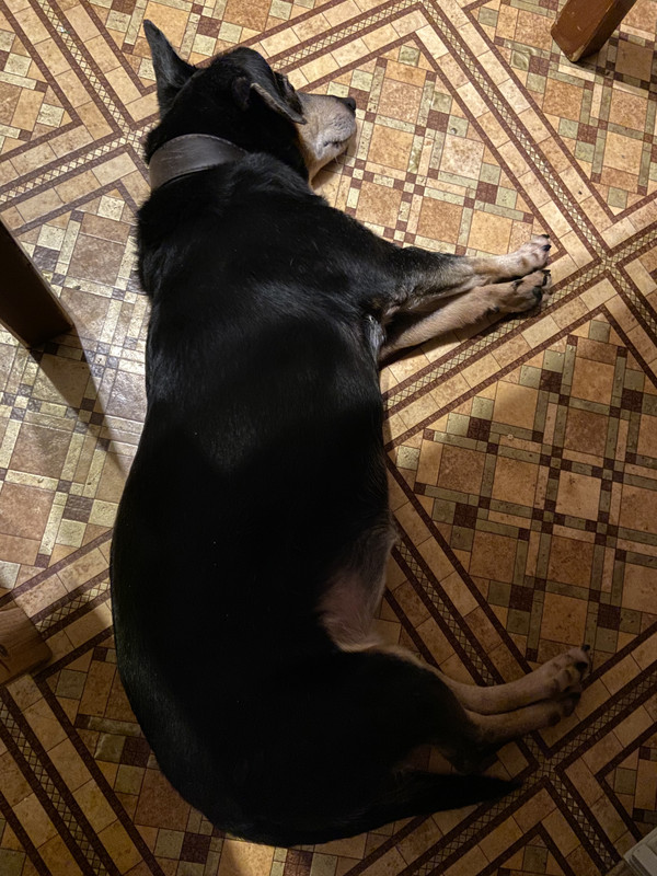 3C8CBF88-C8E8-4841-A2C0-48EA8B4678F8