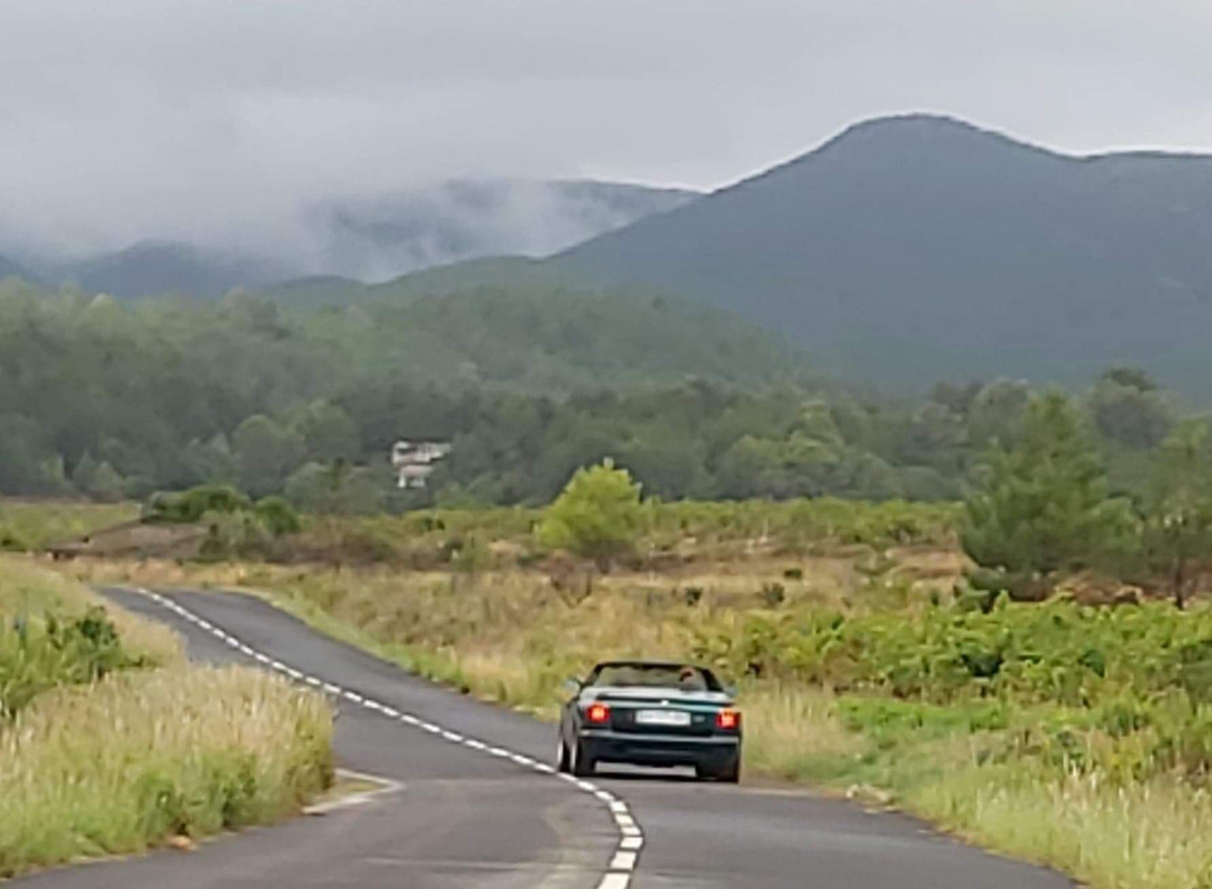 306604170_459807696186461_5450820723485279295_n