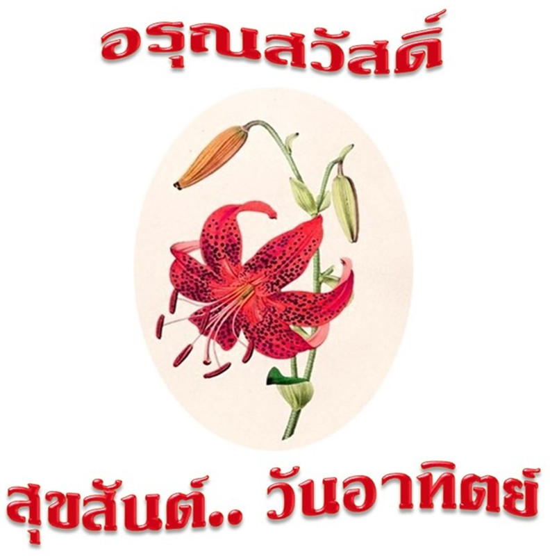 อรุณสวัสดิ์ วันอาทิตย์ 13