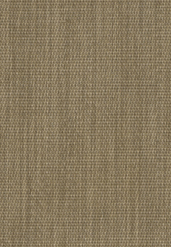 311312_441658612560429_150968881_n_1