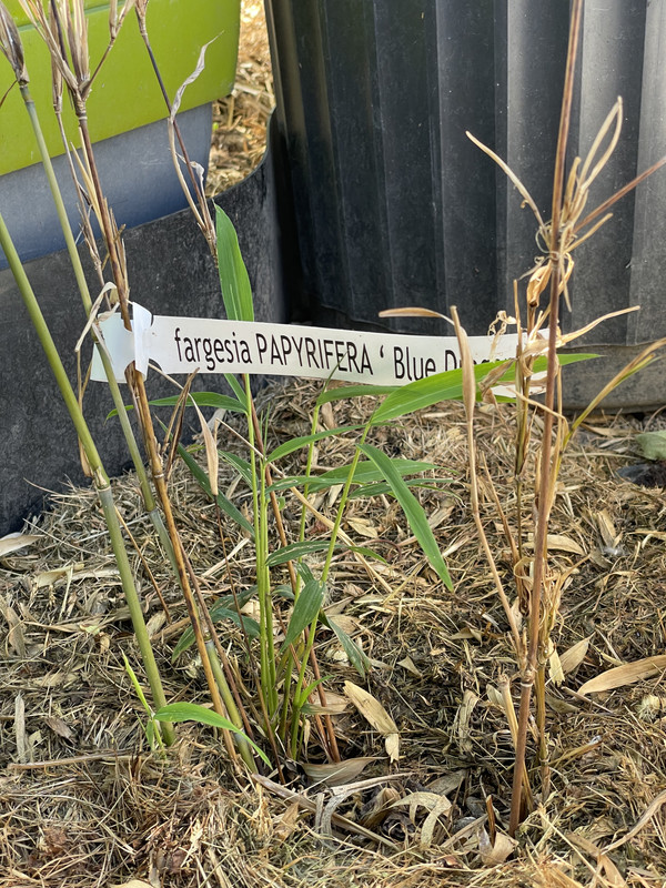 82661336-5216-4DD5-8AC4-E1E8AC192310