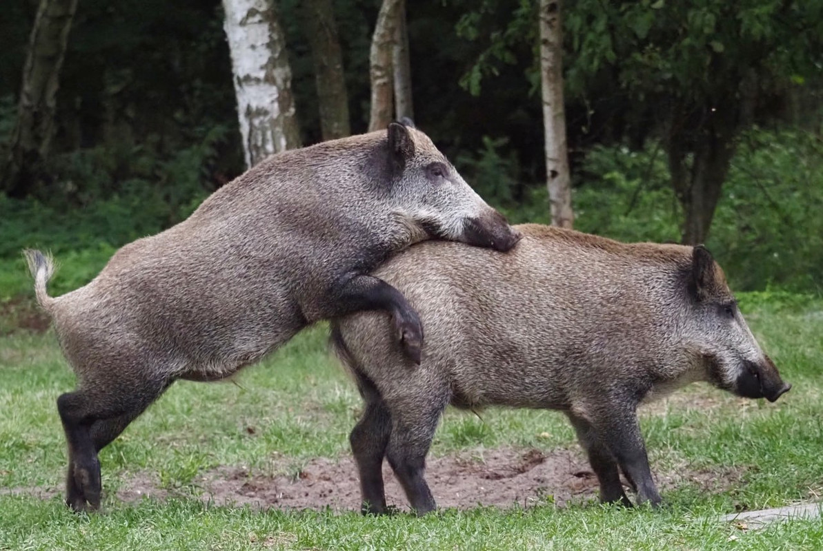 IMG_20230917_114449_573