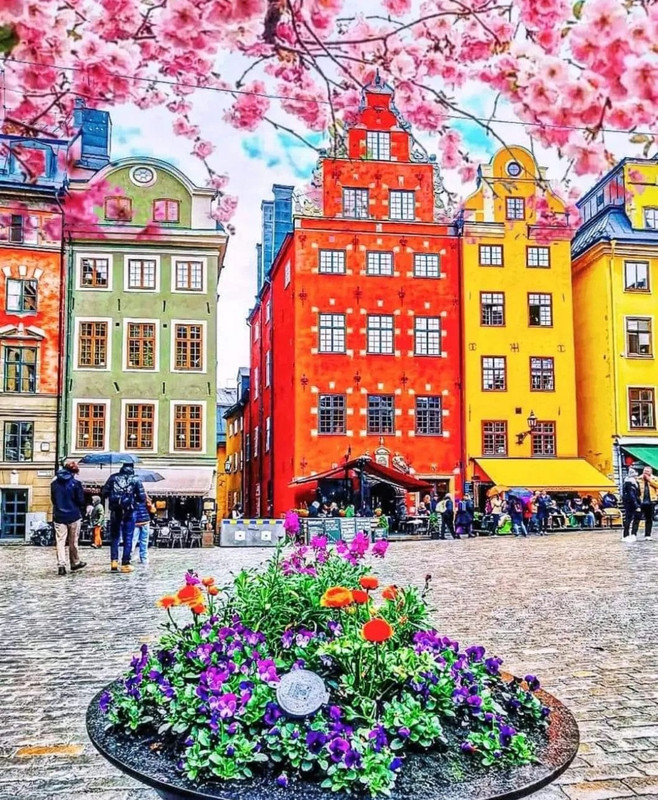 Screenshot_20240505_201830_Threads