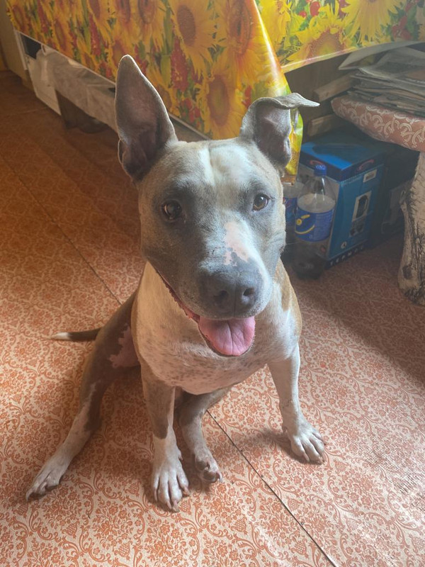 C825F00C-4F2D-4B4E-8050-DB24FA70D58F