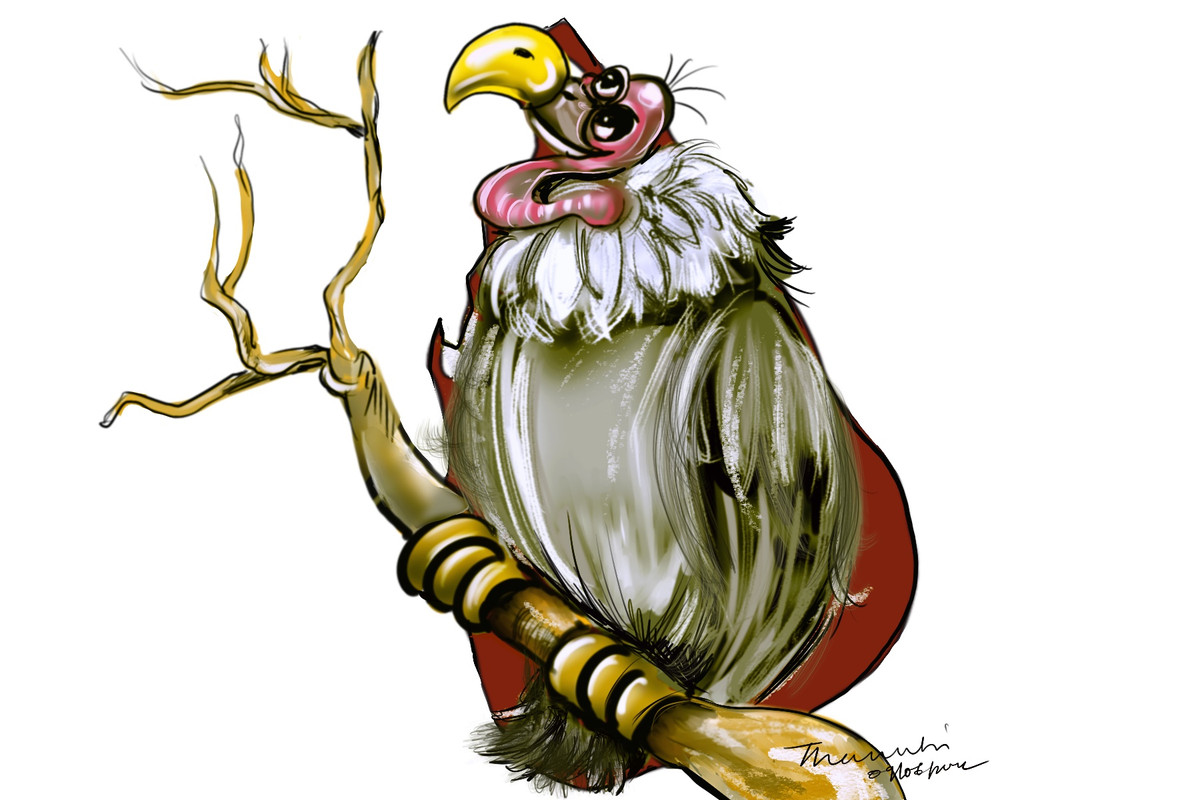 B6-AAB73-E-2-B1-E-4670-8-F62-2-BDEF92440