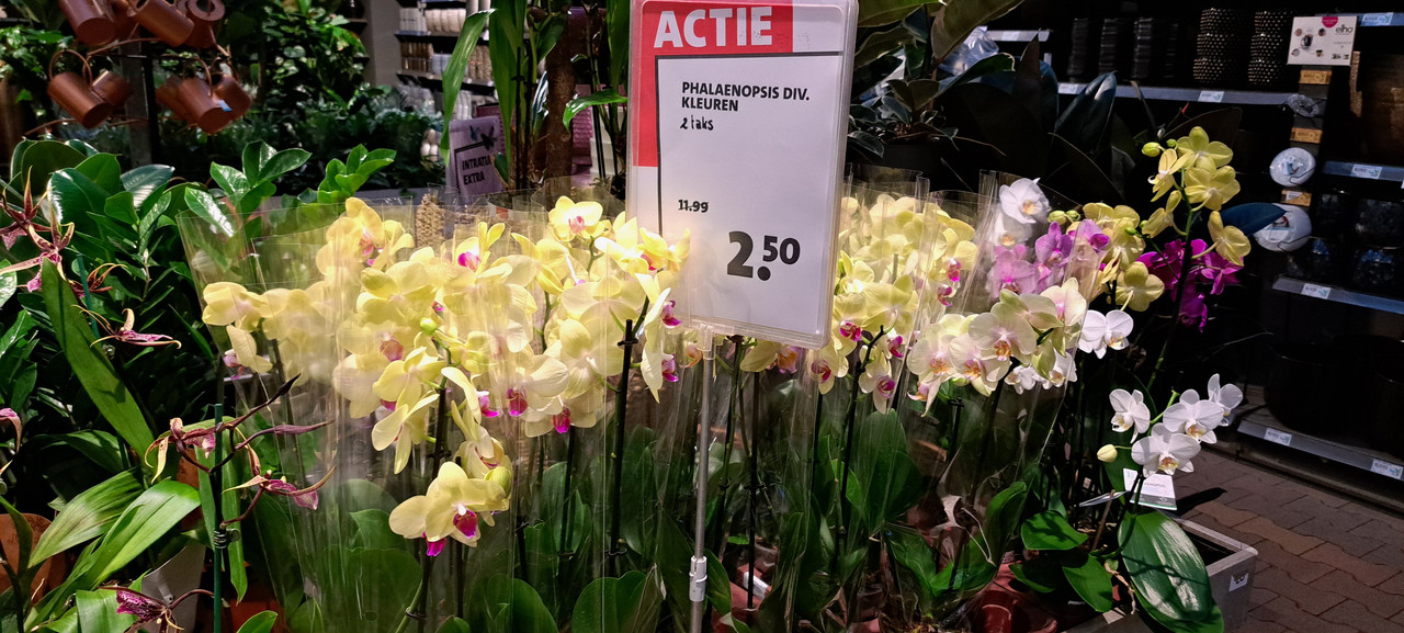 [Image: 20231012-165235.jpg]