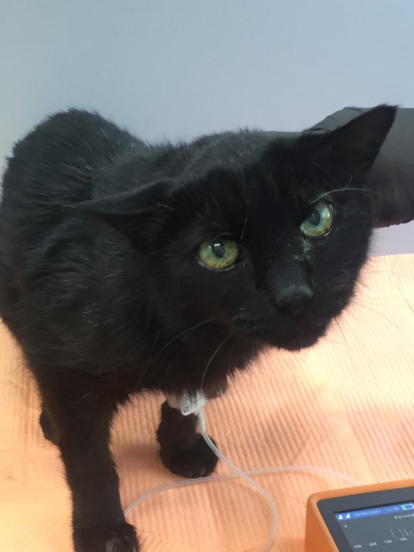 8D27F039-D786-4F3D-AC2C-1651B0778FDB