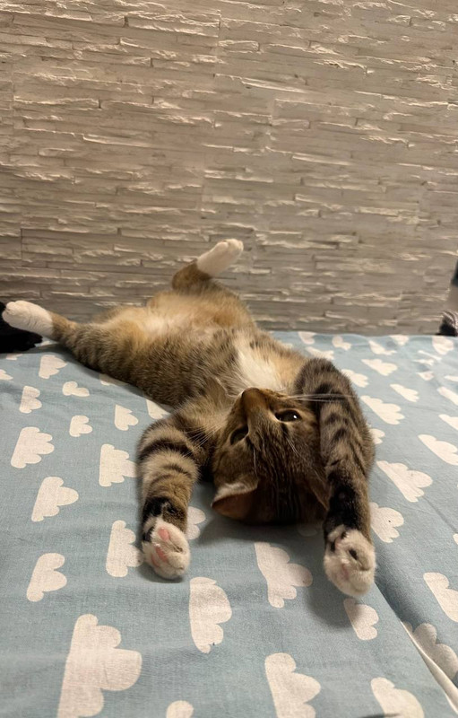 IMG_20240410_000035_035