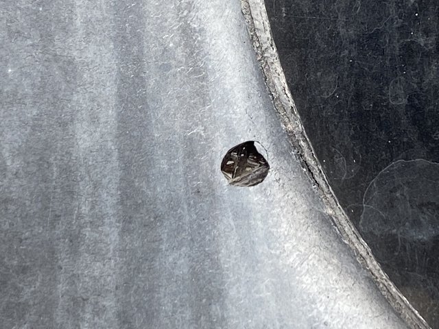 CFA64BE1-F75C-43F2-8860-D4A35AAFC234