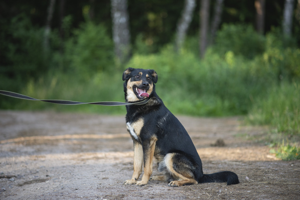 610_1188_гродно