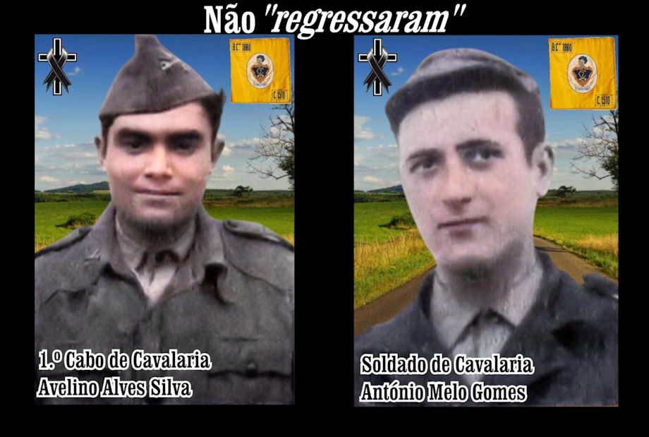 N-o-regressaram-920