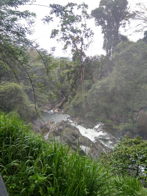 IMG-20230204-105635.jpg