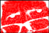 изображение_2023-08-13_163257750.png
