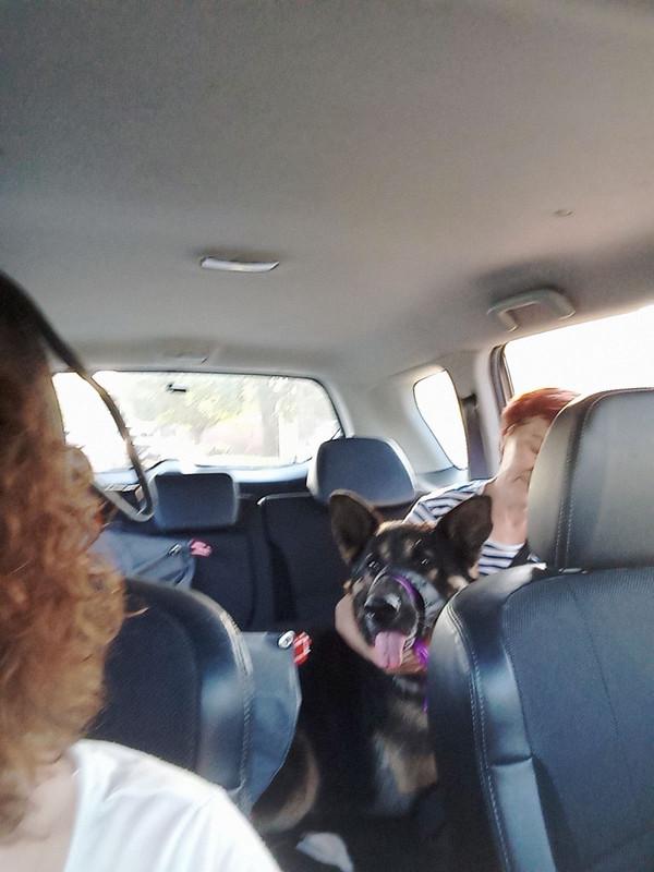 2AC7A2EF-B7F7-4106-B19B-CE15027E1CD4