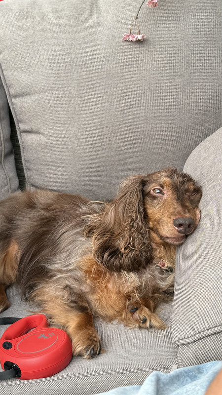 [Image: IMG-3496.jpg]