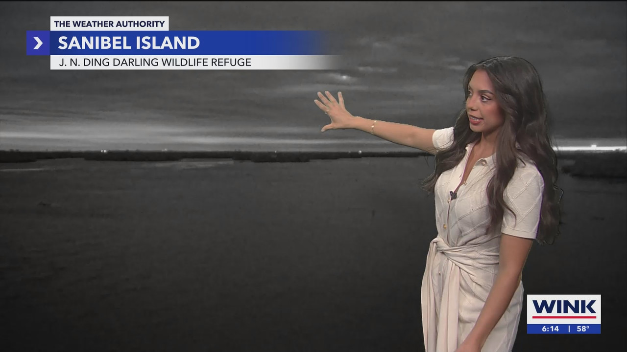WINK NEWS at 600am Saturday_20241130_11001200.ts_snapshot_00.15.01.002
