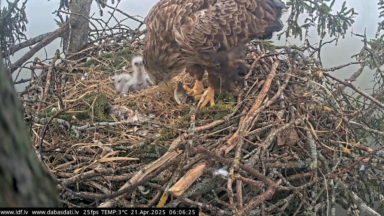 vlcsnap-2025-04-21-07h27m59s166