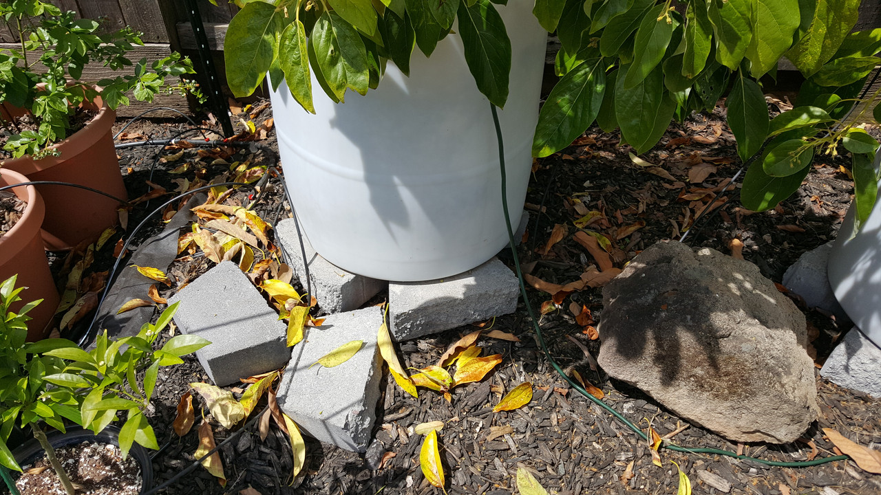 20180505_114829
