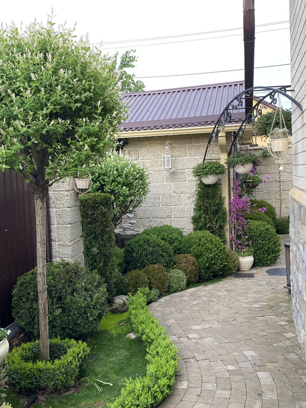 C7AC04C1-A530-4721-BEC2-612A9F5705EA