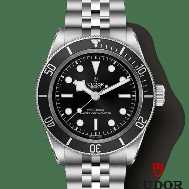 Tudor Black Bay Monochrome