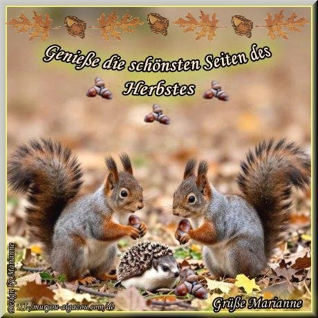 An den Beitrag angehängtes Bild: https://i.postimg.cc/wTVJZ54m/Geniesse-die-schonen-seiten-des-Herbstes.jpg