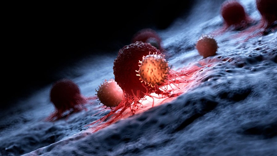 Cellule cancerose entrano in ibernazione per sopravvivere alla Chemioterapia.