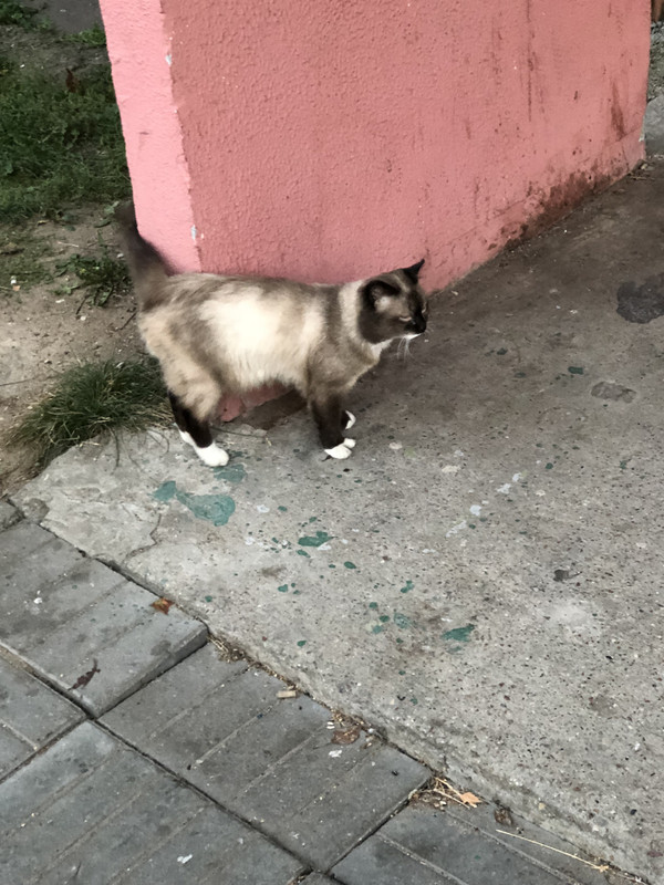 E2C7D5C3-CFFC-4DFB-869E-5531AAC9E7CF