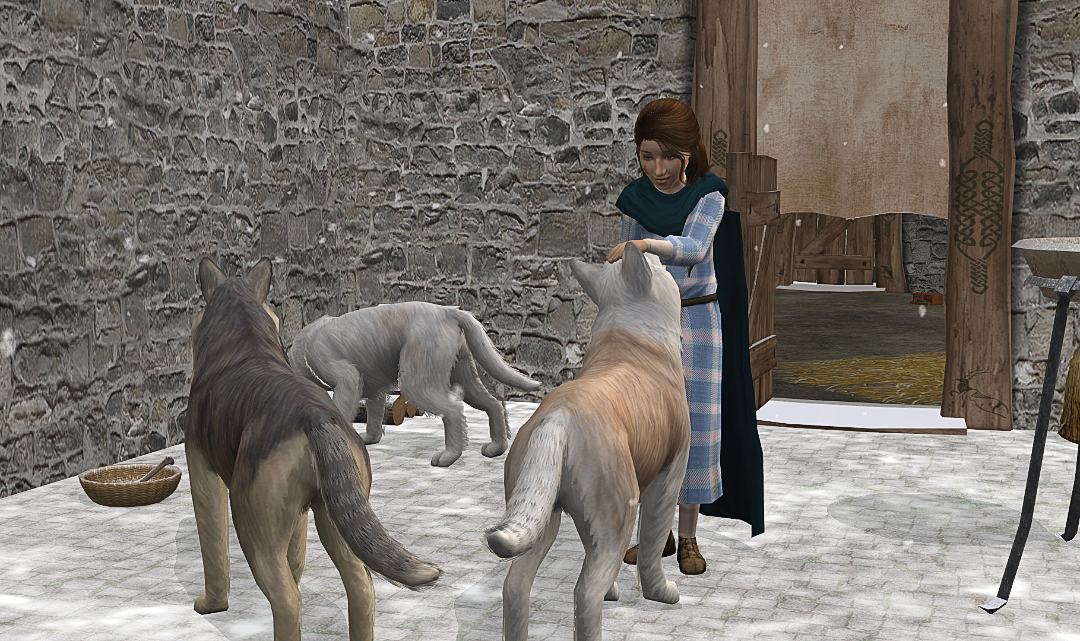 screenshot_2026_01_29_20_57