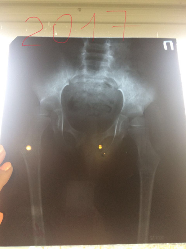 41AA8A5E-E4B6-47D4-8954-3E86E61353A0