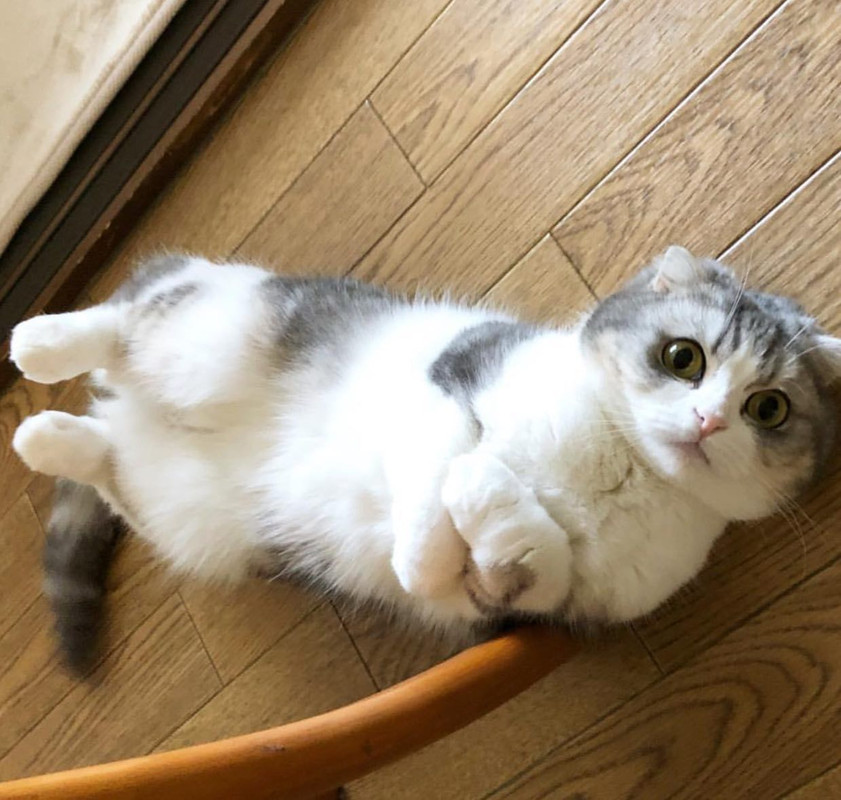 69A28FB7-720B-43DD-9865-245ECB555870