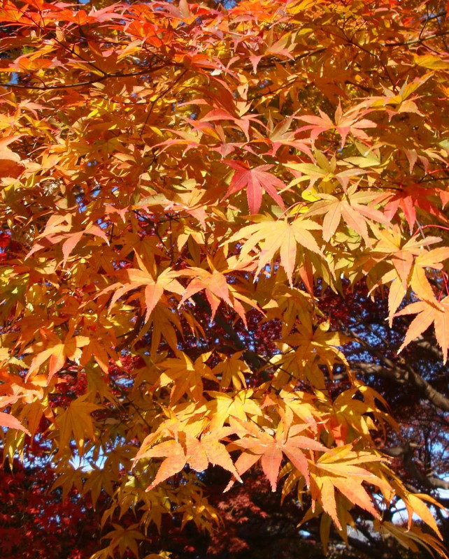 photo 8 2025 12 14 20 03 45