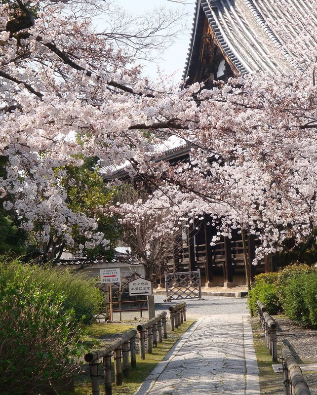 photo 9 2025 12 14 20 03 45