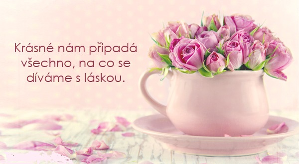 531-divame-s-laskou.jpg