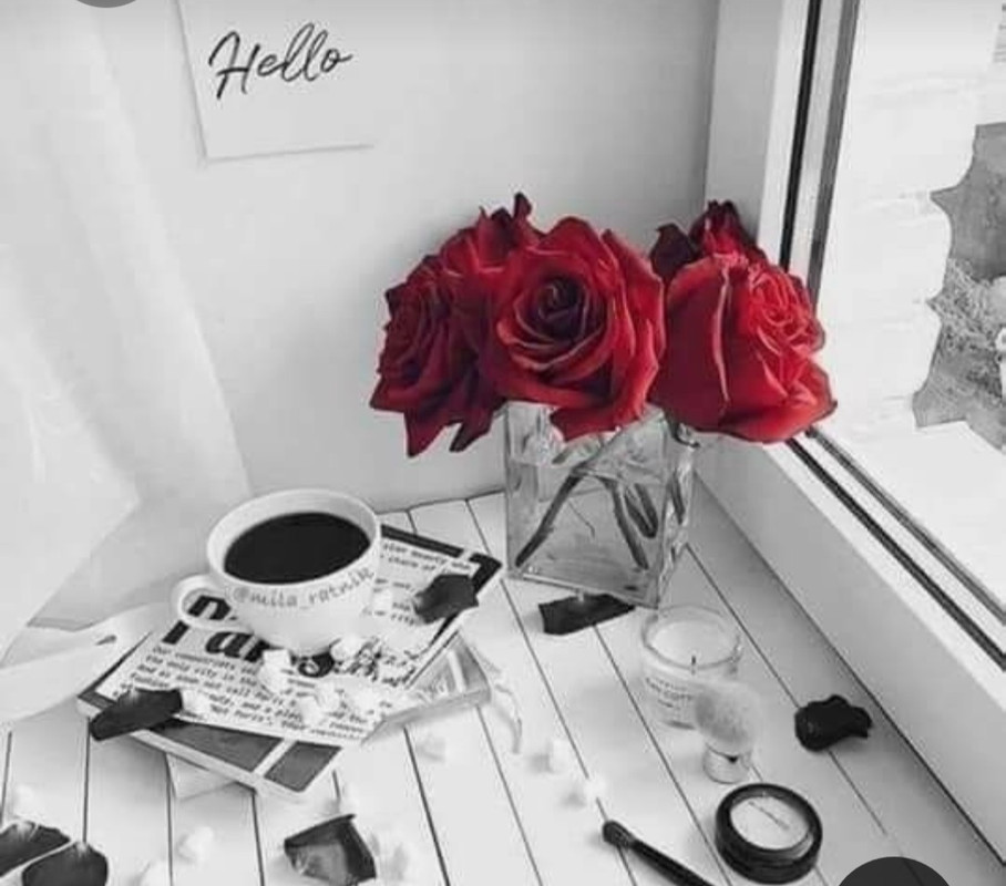 Screenshot_20230330_003524_Pinterest